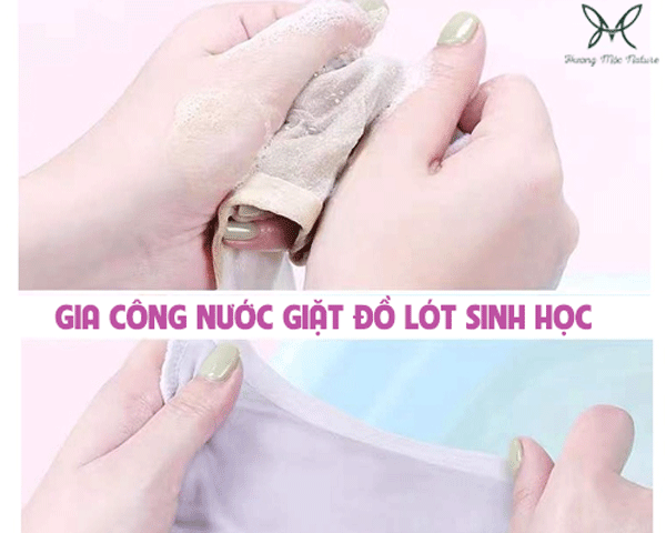 Gia công nước giặt đồ lót sinh học an toàn lành tính diệt khuẩn đến 99,99%